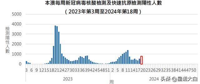 2025新澳门开奖查询，详细解答、详细解答解释落实